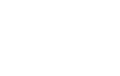 Boss Fire